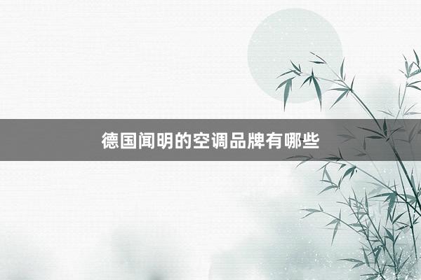 德国闻明的空调品牌有哪些