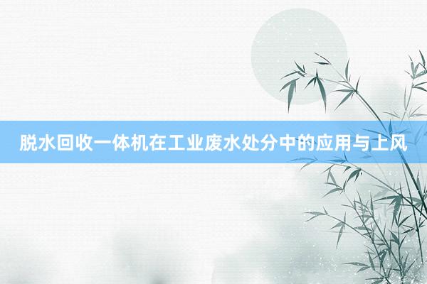 脱水回收一体机在工业废水处分中的应用与上风